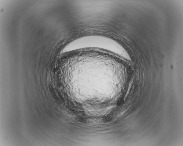 X0000070190511200606161554