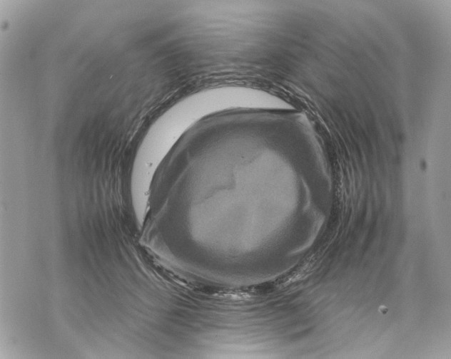 X0000070190512200606161554