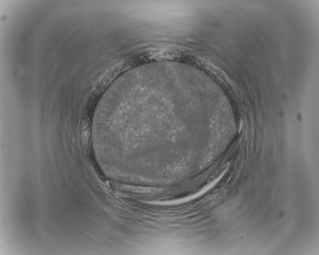 X0000070190513200606161554