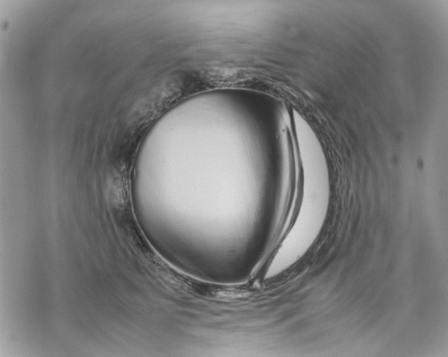 X0000070190515200606161554