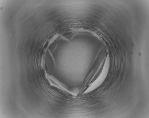 X0000070190516200606161554