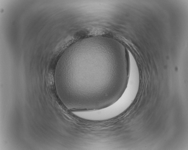 X0000070190517200606161554