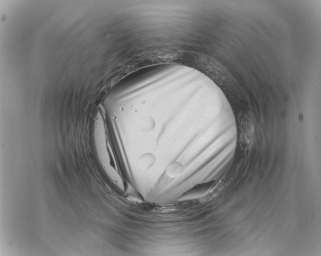 X0000070190518200606161554