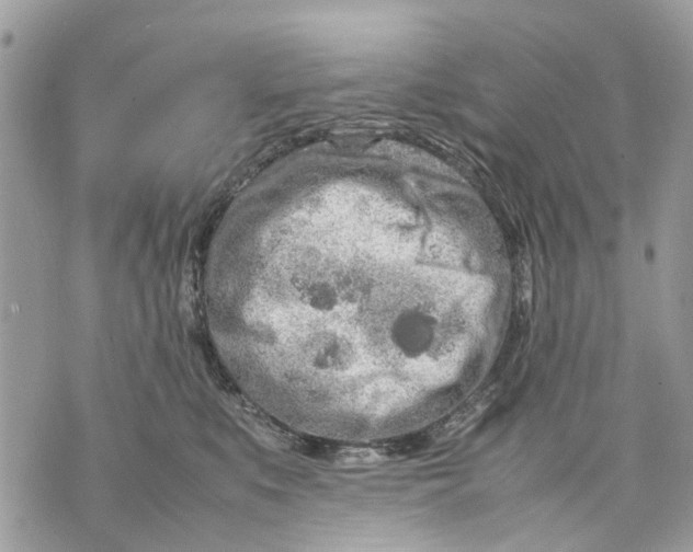 X0000070190519200606161554