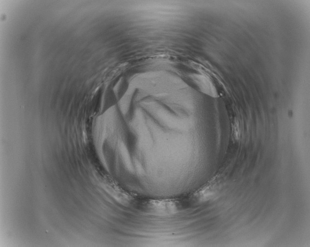 X0000070190520200606161554