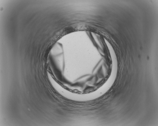 X0000070190521200606161554