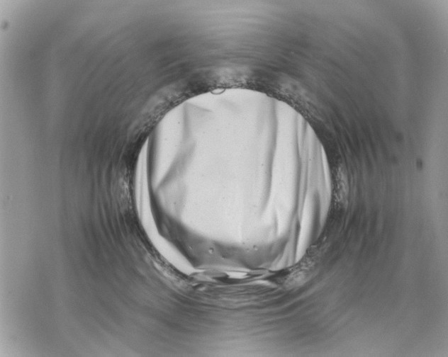 X0000070190522200606161554