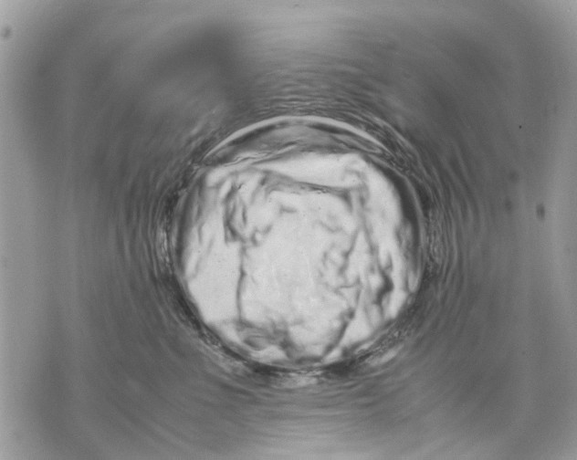 X0000070190523200606161554