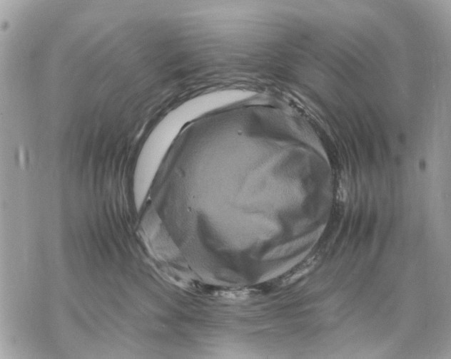 X0000070190524200606161554