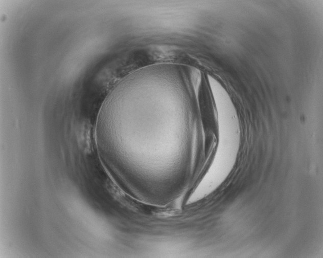 X0000070190525200606161554