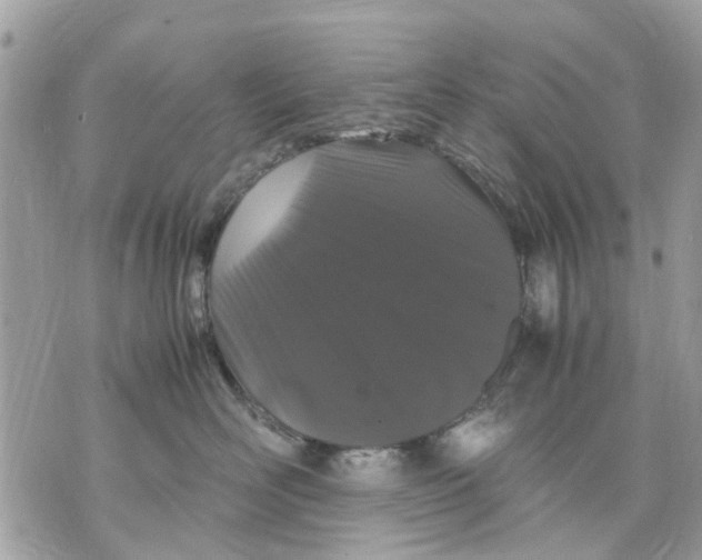 X0000070190526200606161554