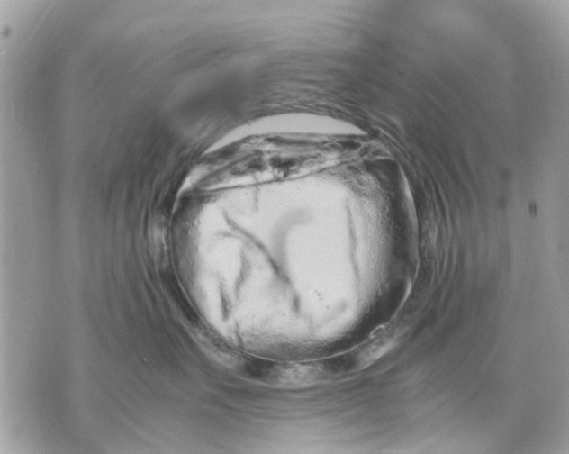 X0000070190527200606161554