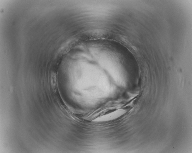 X0000070190528200606161554