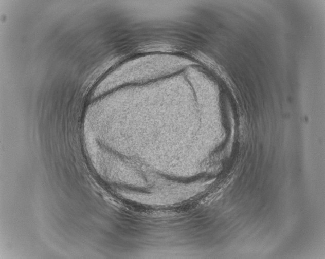 X0000070190529200606161553