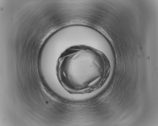 X0000070190530200606161553