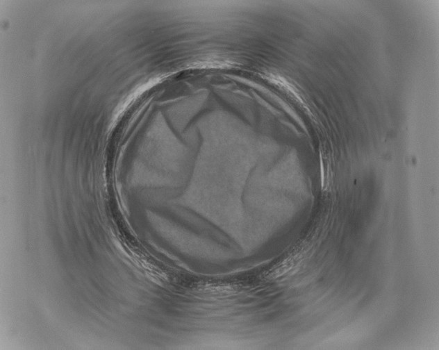 X0000070190531200606161553