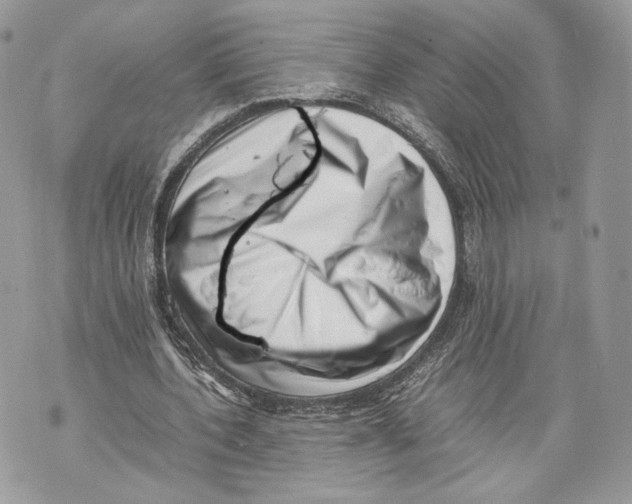 X0000070190532200606161553