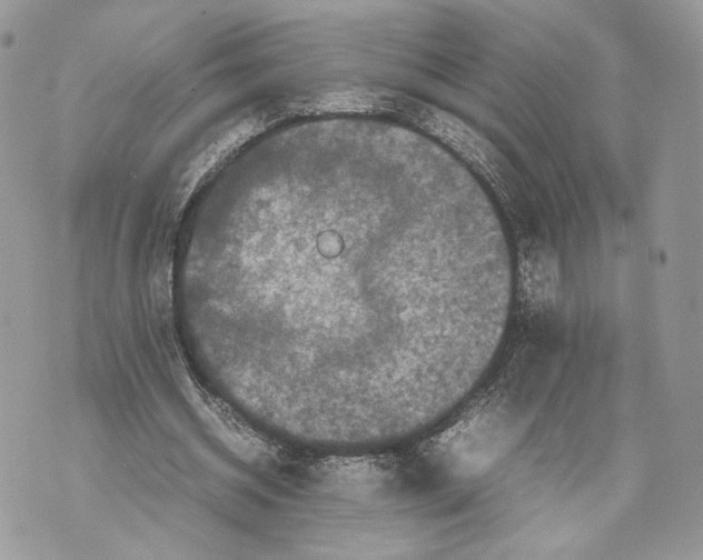 X0000070190534200606161553