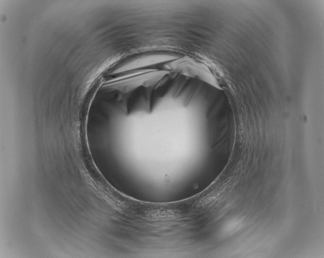 X0000070190535200606161553