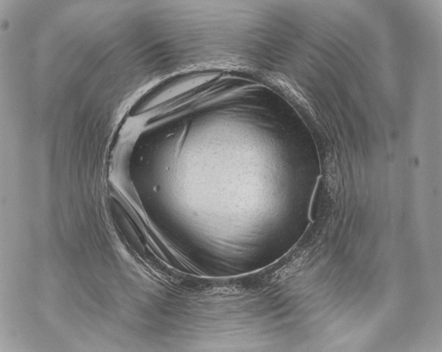 X0000070190536200606161553