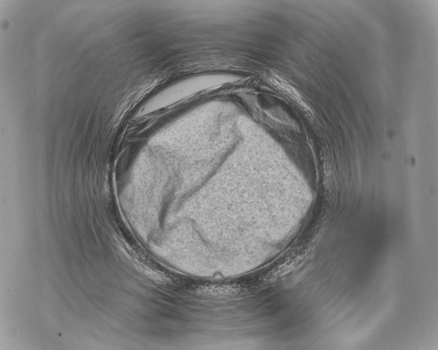 X0000070190537200606161553