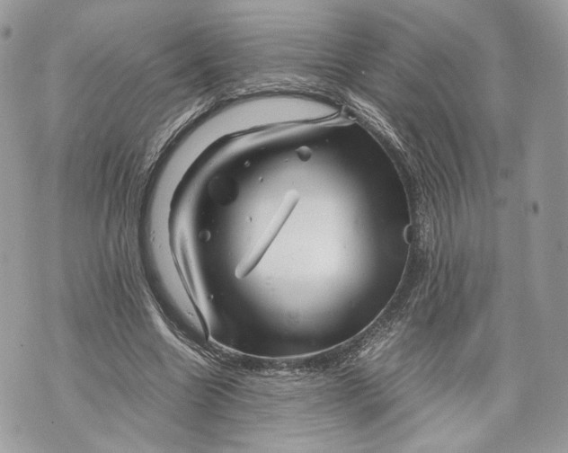 X0000070190538200606161553