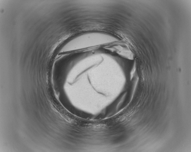 X0000070190539200606161553