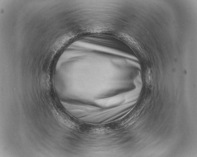 X0000070190540200606161553