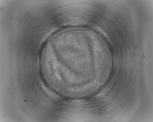 X0000070190542200606161553