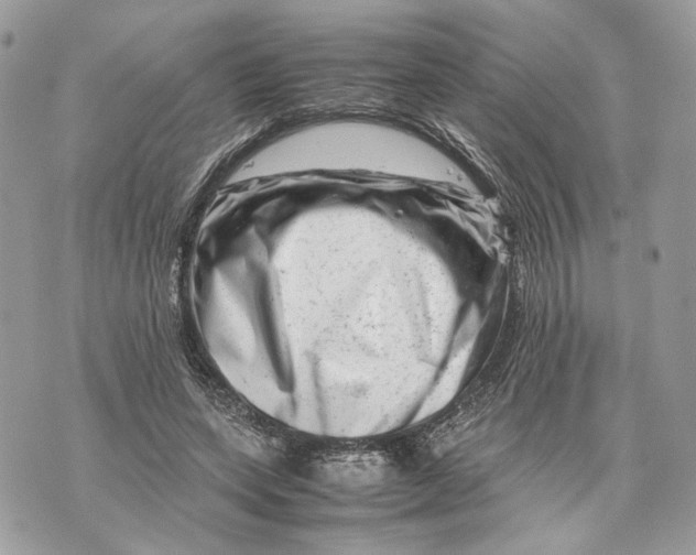 X0000070190543200606161553