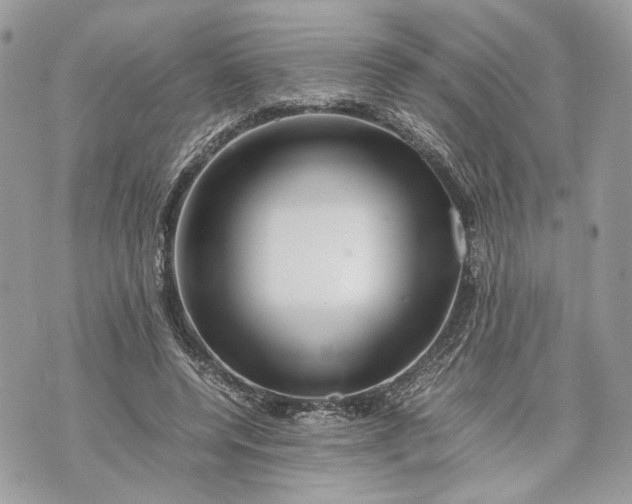 X0000070190544200606161553