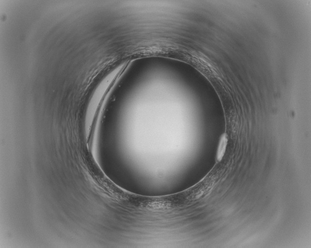 X0000070190546200606161553