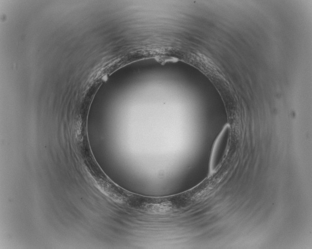 X0000070190548200606161553