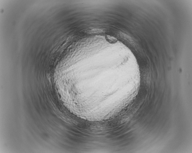 X0000070190549200606161553