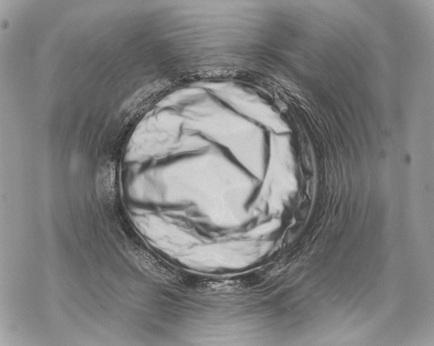 X0000070190550200606161553