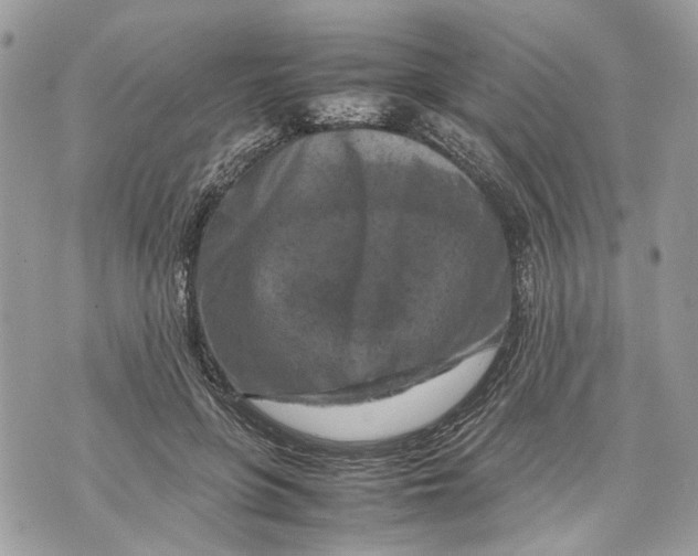 X0000070190551200606161553