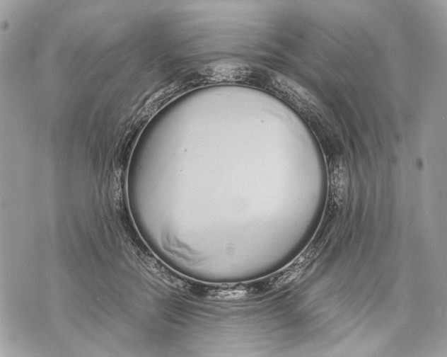 X0000070190554200606161553