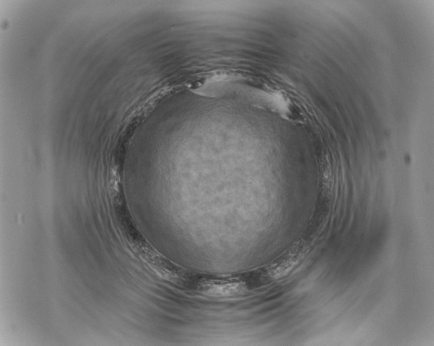 X0000070190555200606161553