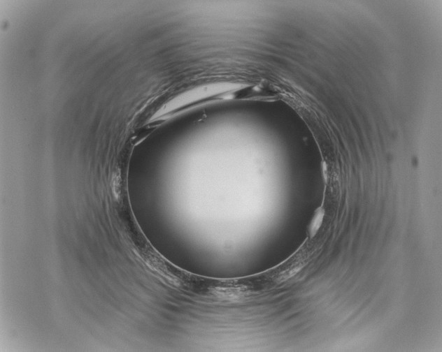 X0000070190556200606161553