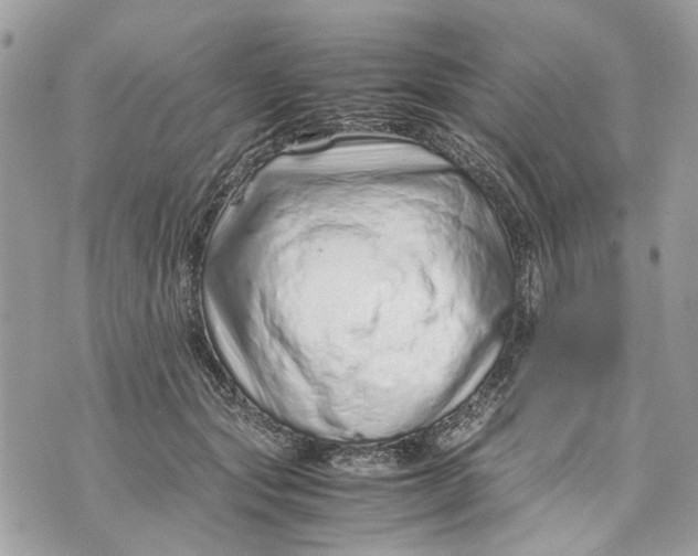 X0000070190557200606161554