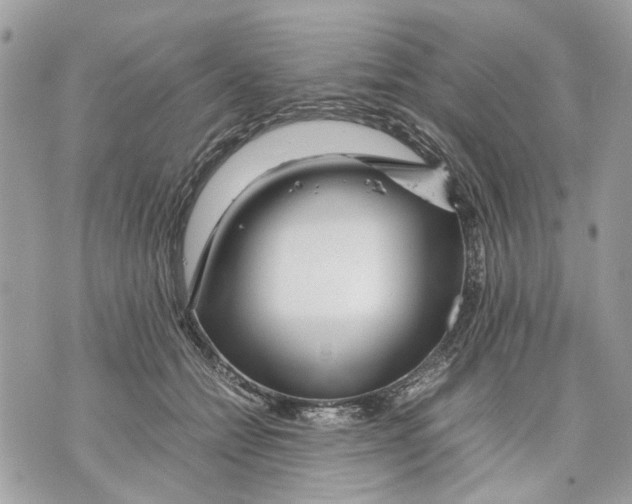 X0000070190558200606161554