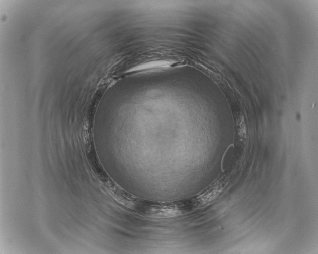 X0000070190559200606161554