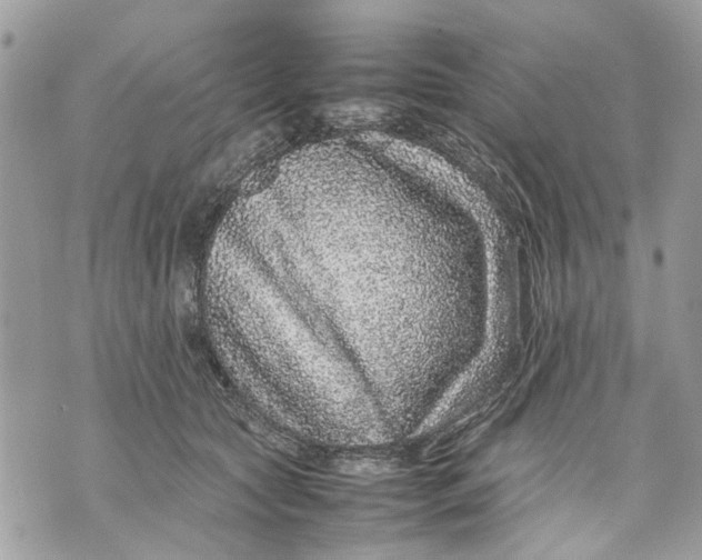 X0000070190561200606161554