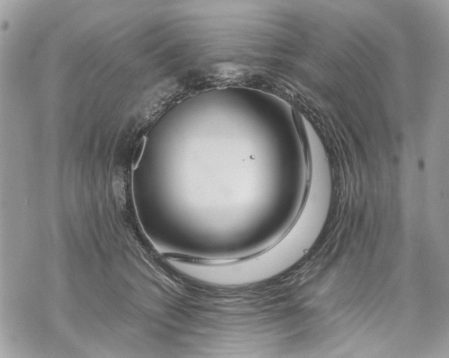 X0000070190562200606161554