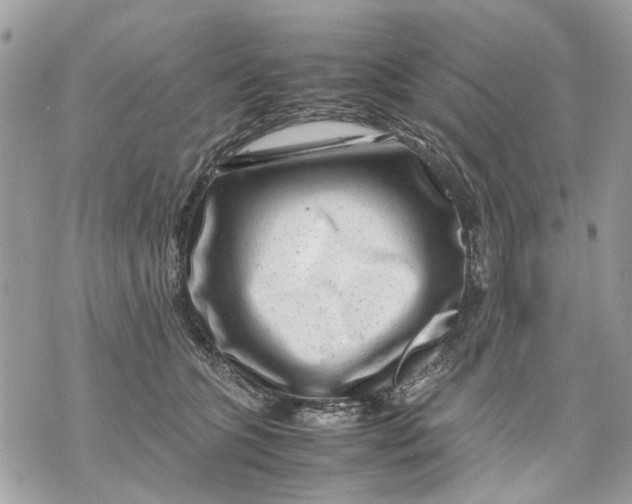 X0000070190563200606161554