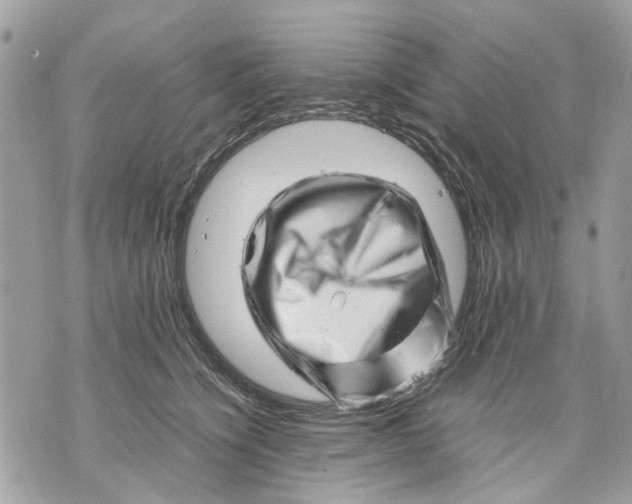 X0000070190564200606161554