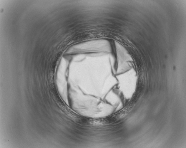 X0000070190565200606161554