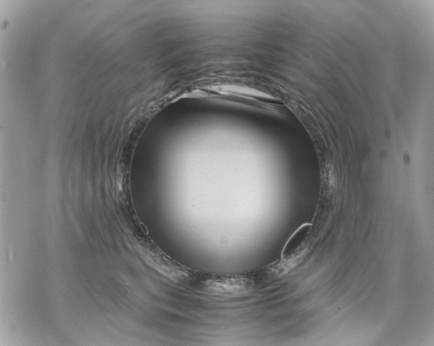 X0000070190567200606161554