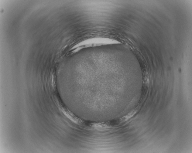 X0000070190568200606161554