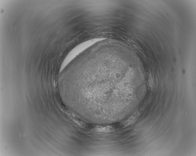 X0000070190569200606161554